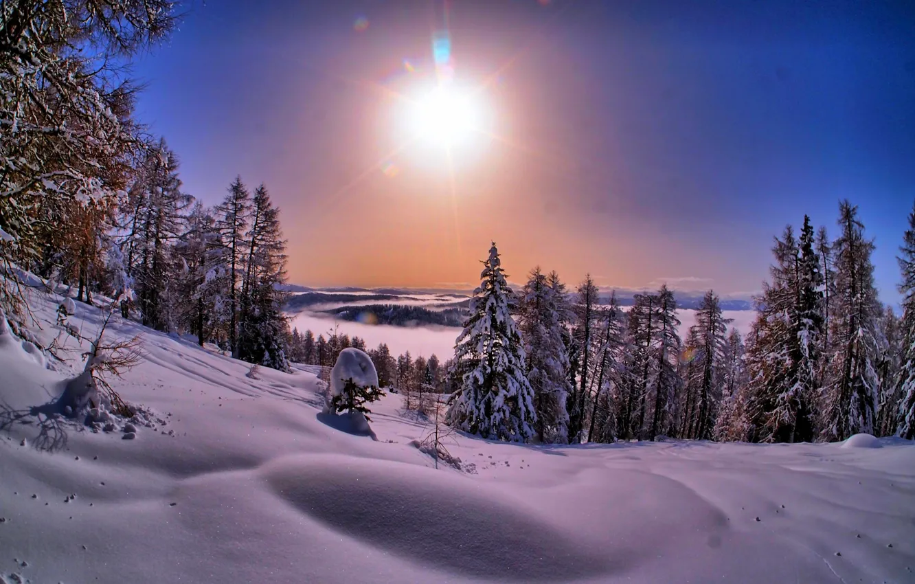 Photo wallpaper winter, the sky, snow, landscape, nature, white, sky, landscape