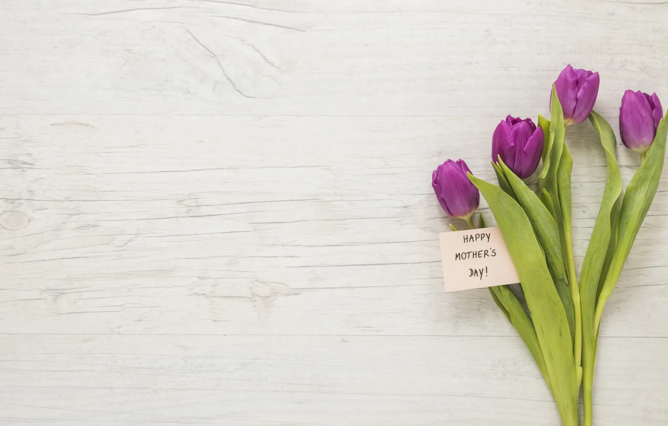 Photo wallpaper flowers, bouquet, tulips, happy, flowers, tulips, purple, mother's day
