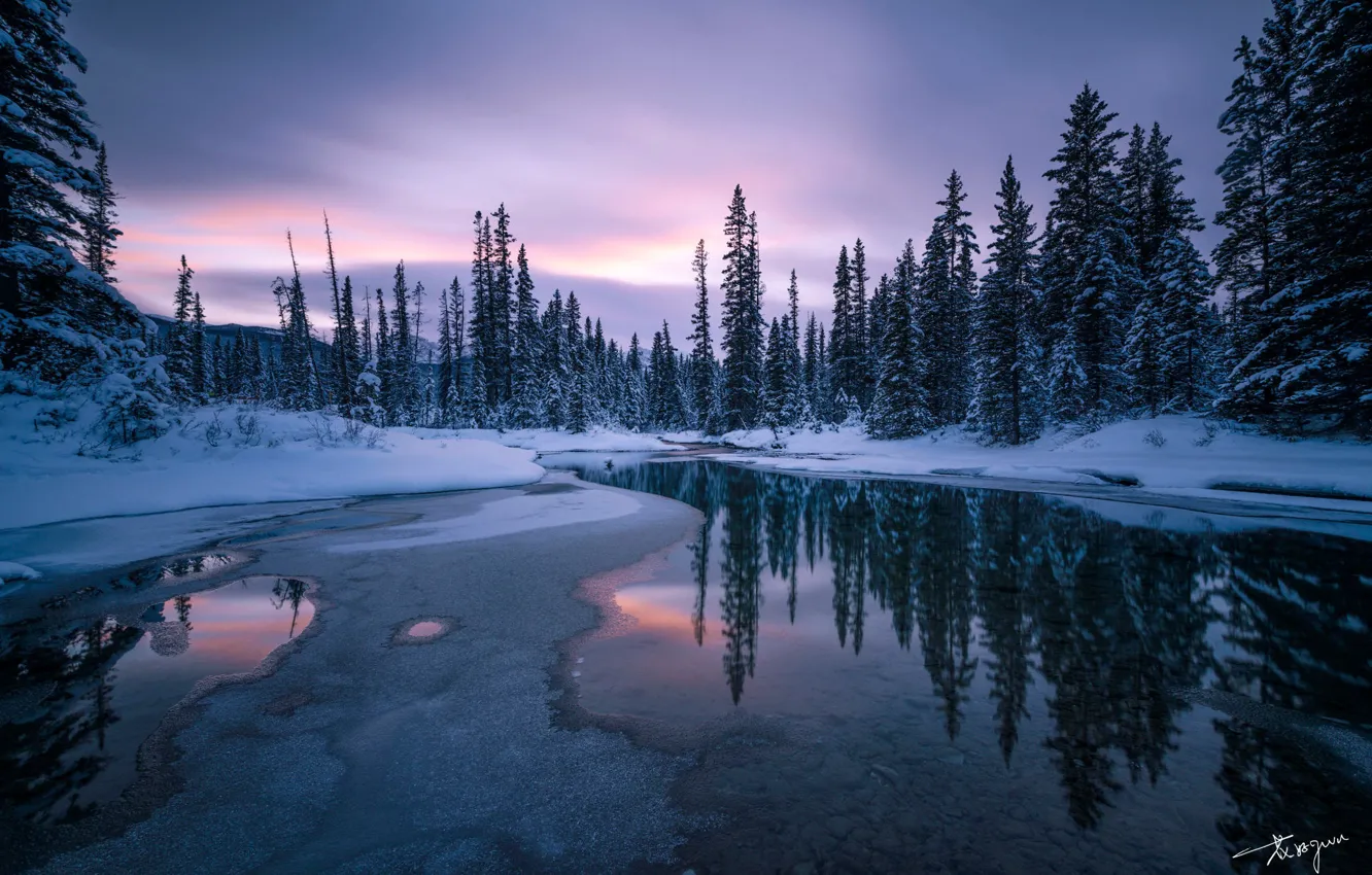 Photo wallpaper winter, forest, the sky, snow, trees, sunset, reflection, river