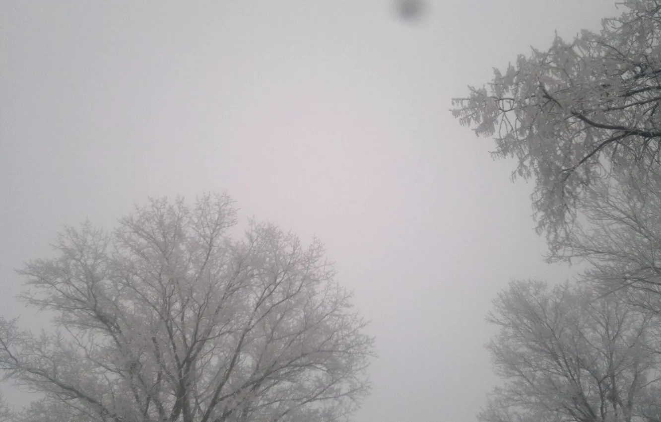 Photo wallpaper winter, trees, in the snow, UFO