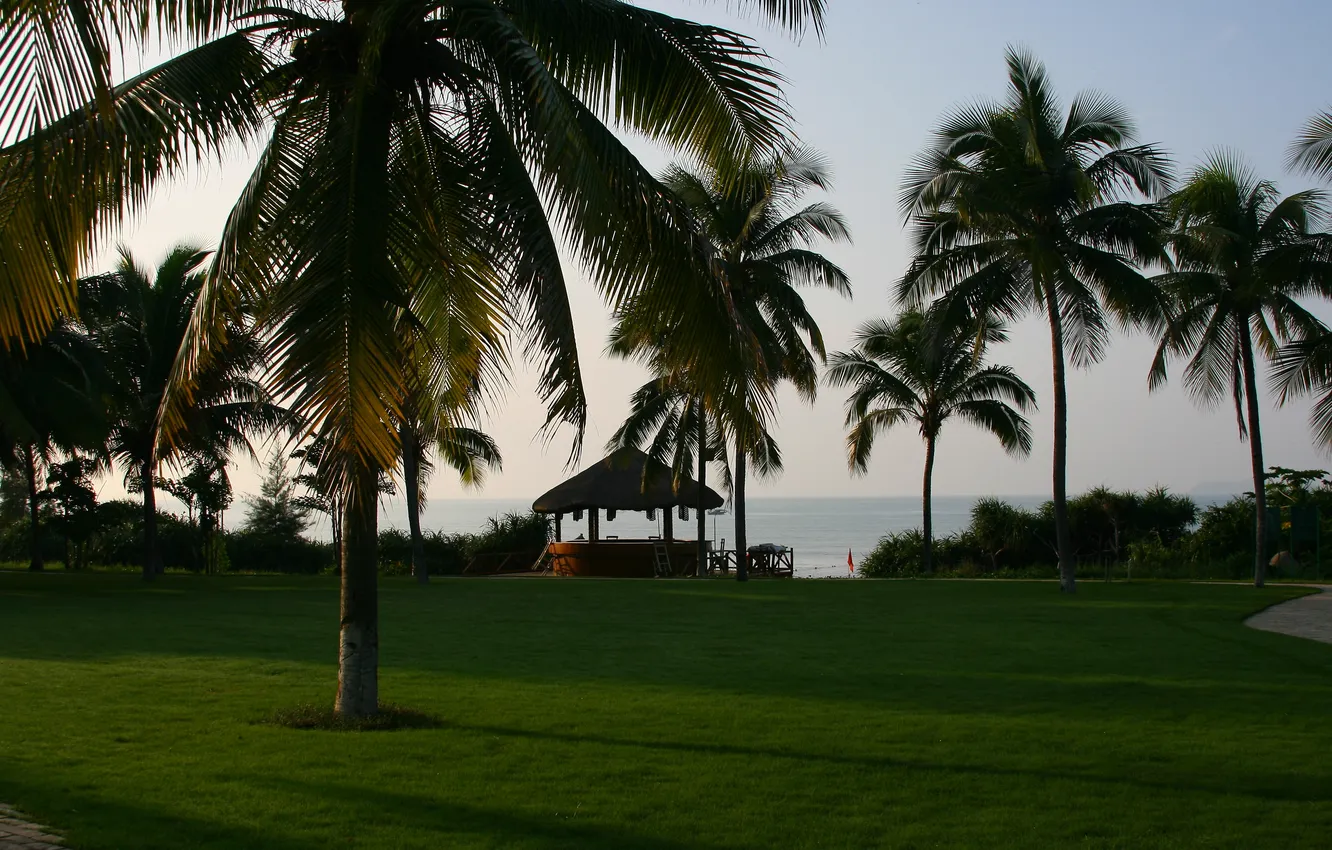Photo wallpaper grass, landscape, palm trees, stay, island, morning, China, journey