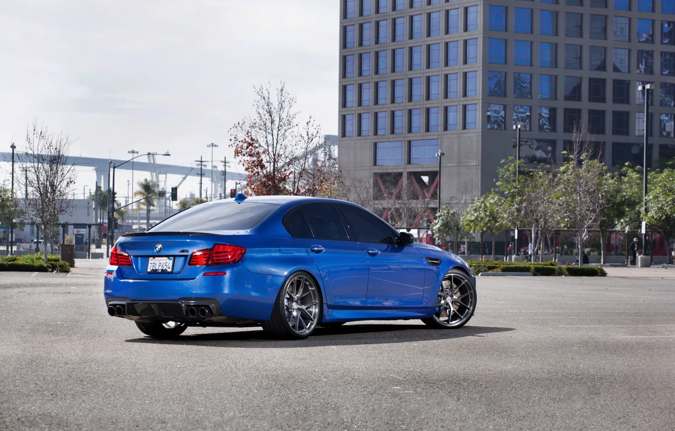 Photo wallpaper blue, reflection, shadow, BMW, BMW, back, f10, monte carlo blue