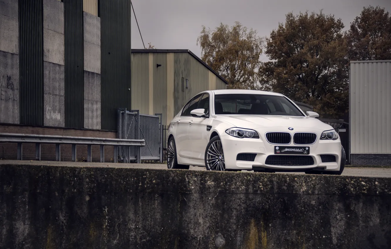 Photo wallpaper white, the sky, trees, building, BMW, BMW, white, front view