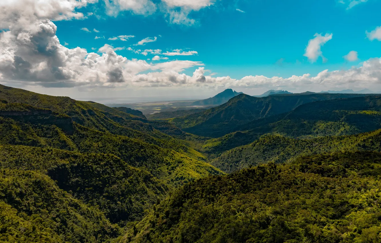 Photo wallpaper greens, forest, the sky, clouds, mountains, hills, tops, dal