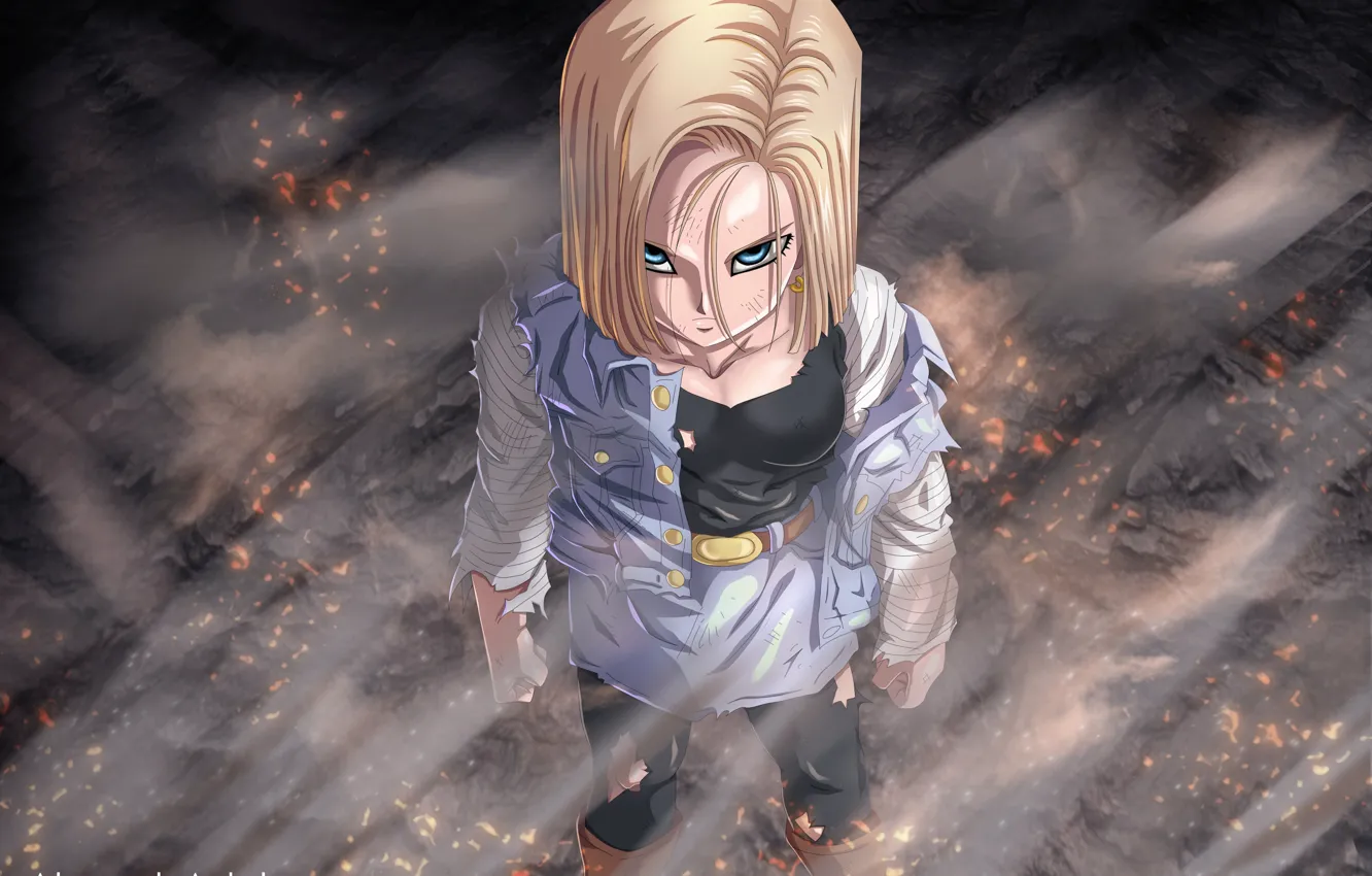 Photo wallpaper look, girl, Dragon Ball, Dragonball