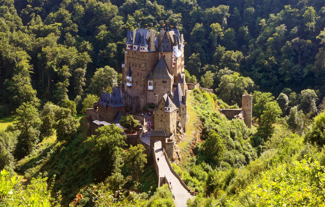 Photo wallpaper forest, bridge, castle