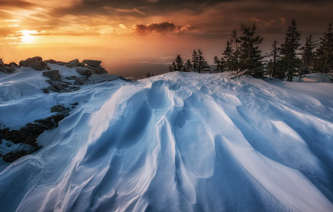 Photo wallpaper winter, forest, the sky, the sun, clouds, light, snow, sunset