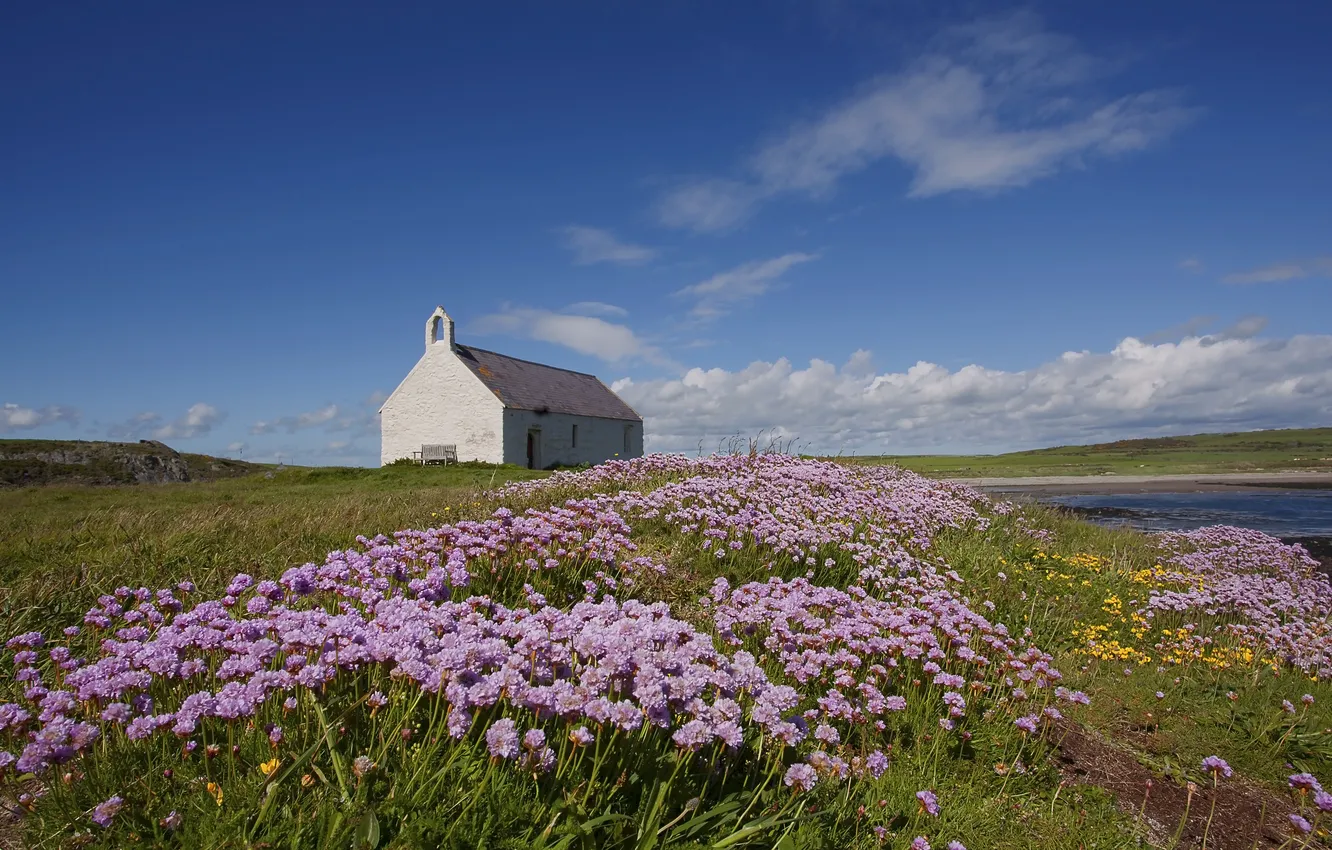 Photo wallpaper field, the sky, clouds, flowers, river, Church