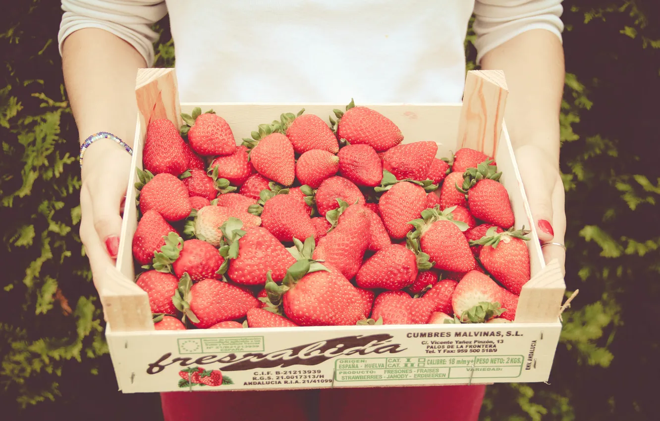 Photo wallpaper berries, hands, strawberry