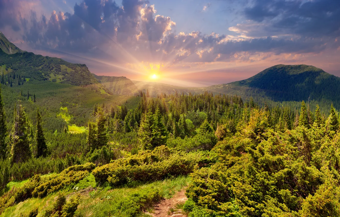 Photo wallpaper grass, the sun, mountains, meadow, landscape, nature