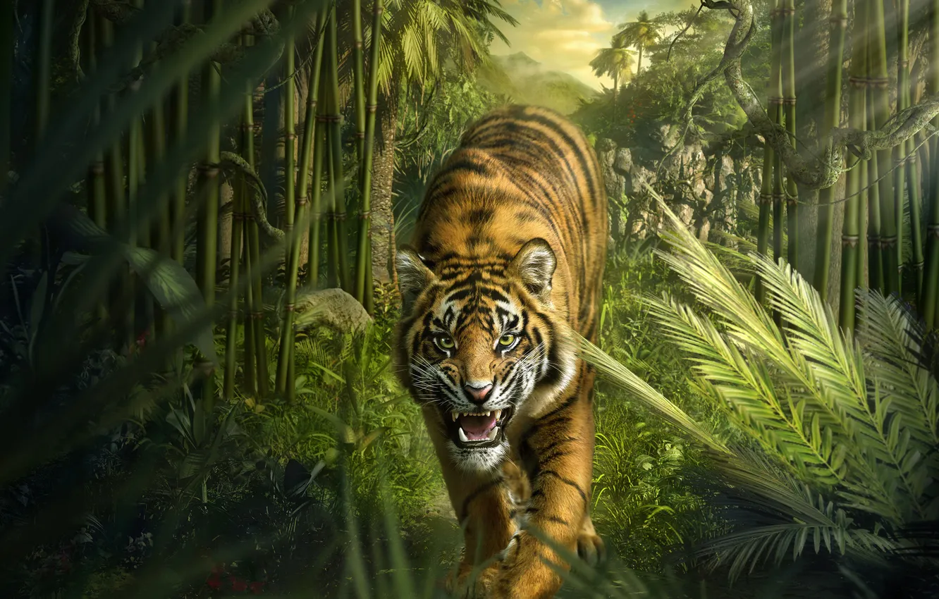 Photo wallpaper look, tiger, predator, jungle