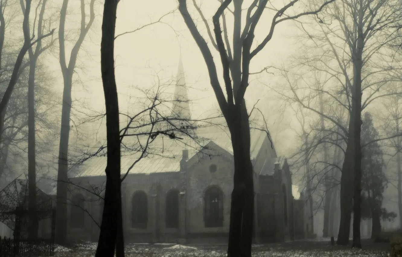 Photo wallpaper winter, fog, haze, Mist, the Church, Church, Fog, Trees