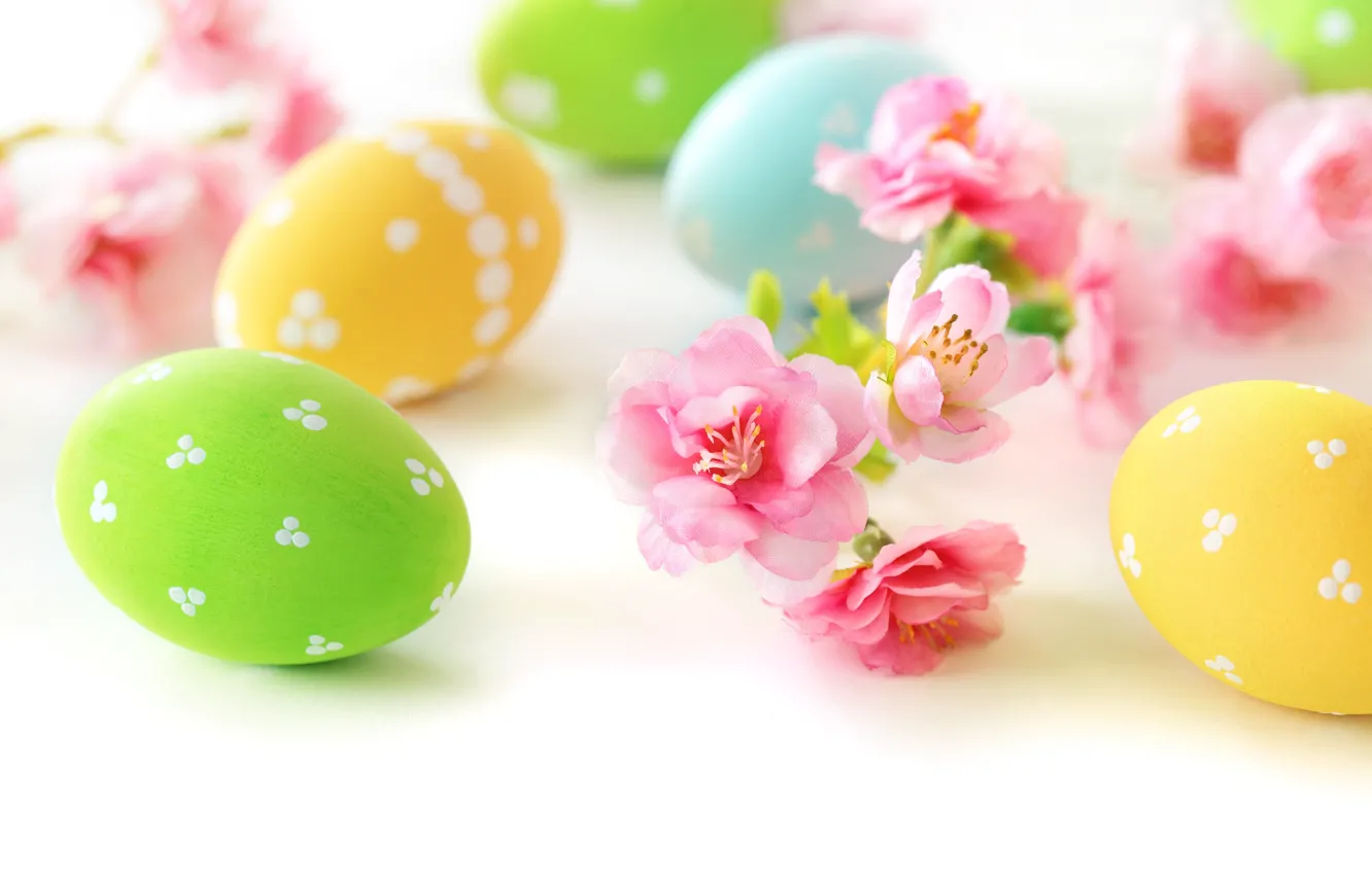 Photo wallpaper flowers, eggs, Easter, flowers, spring, Easter, eggs