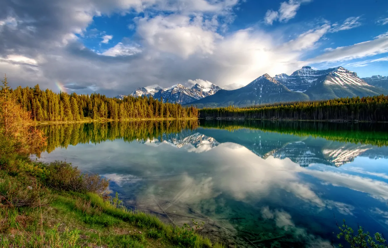 Photo wallpaper forest, the sky, clouds, mountains, lake, reflection, rainbow