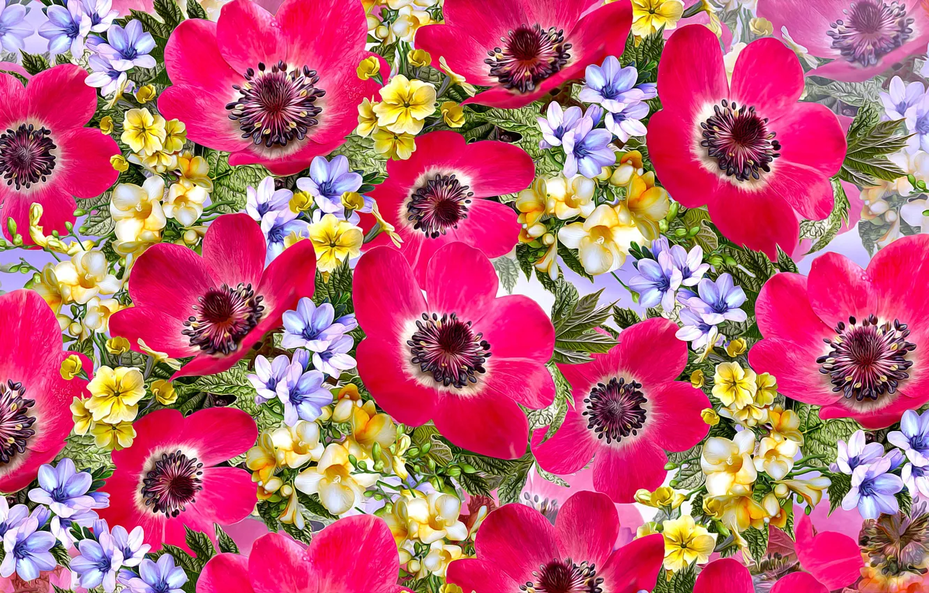 Photo wallpaper Graphics, Flowers, Anemones