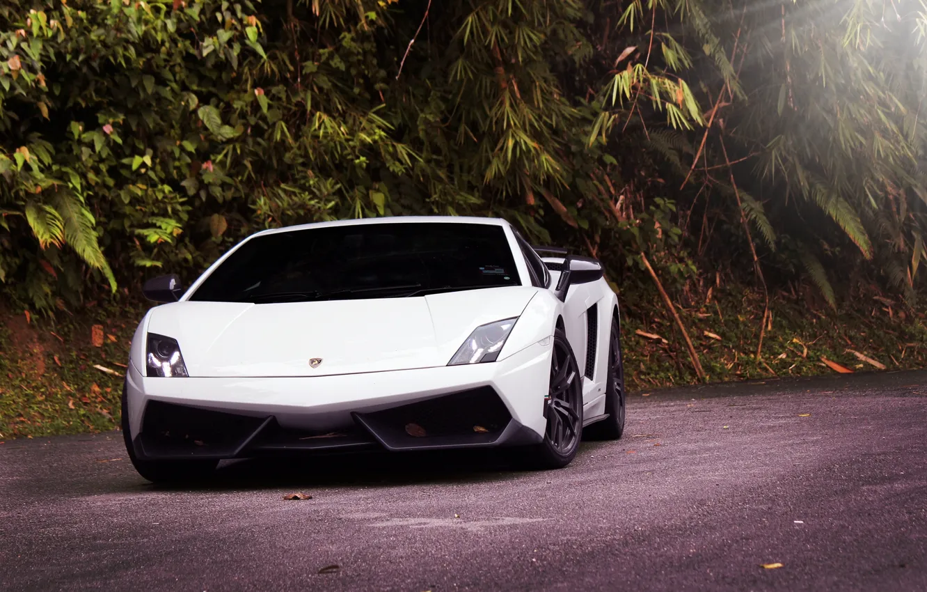 Photo wallpaper road, white, trees, white, gallardo, lamborghini, front view, headlights