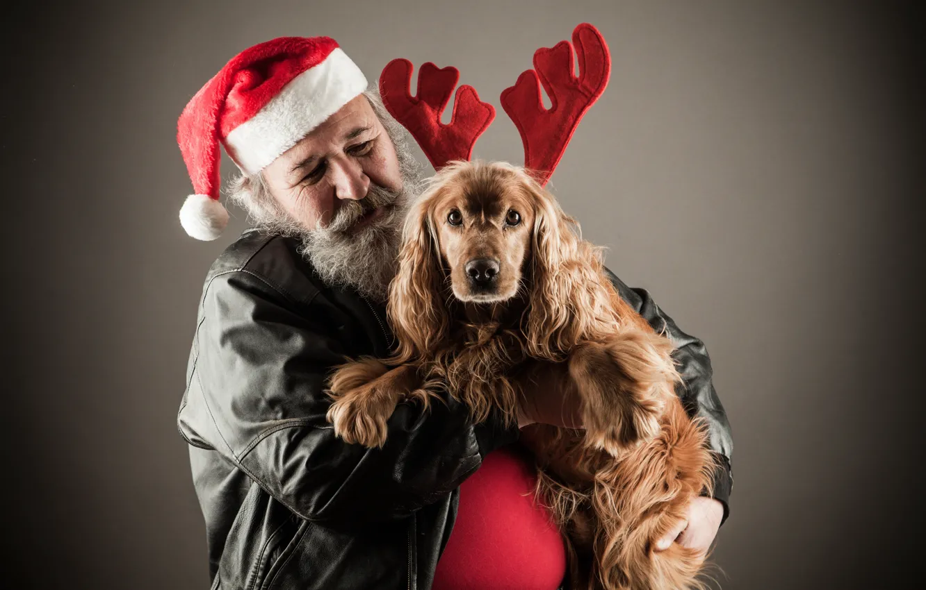 Photo wallpaper red, background, mood, holiday, black, hat, new year, dog