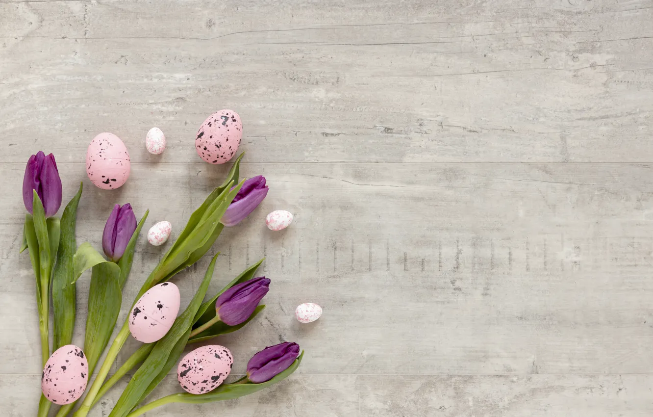 Photo wallpaper flowers, eggs, tulips, flowers, easter