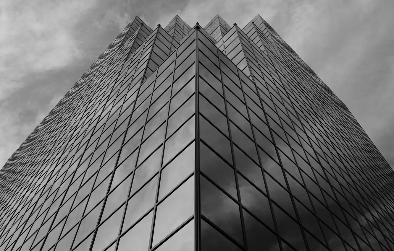 Photo wallpaper the building, Windows, skyscraper