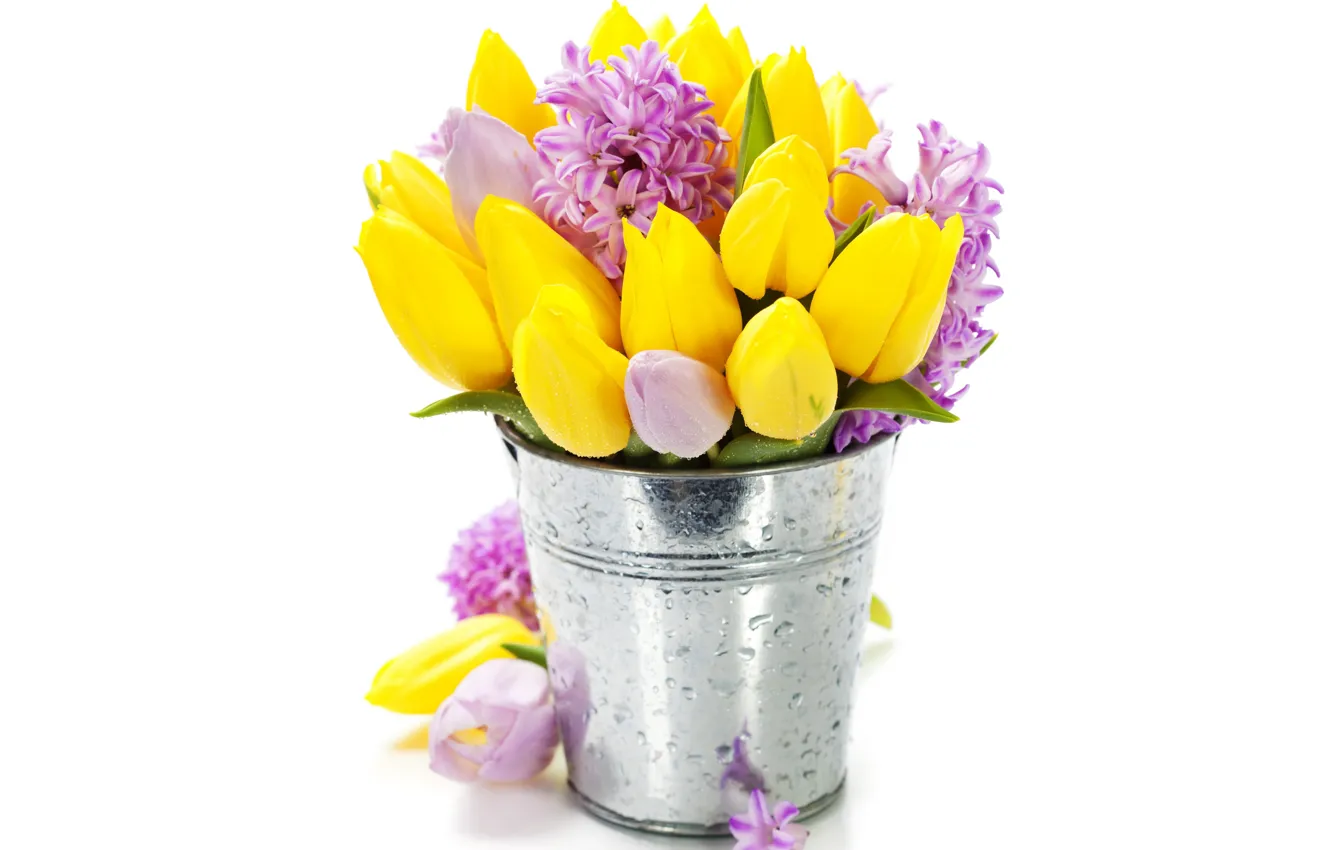 Photo wallpaper flowers, bouquet, tulips, flowers, tulips, bucket, bouquet, hyacinths