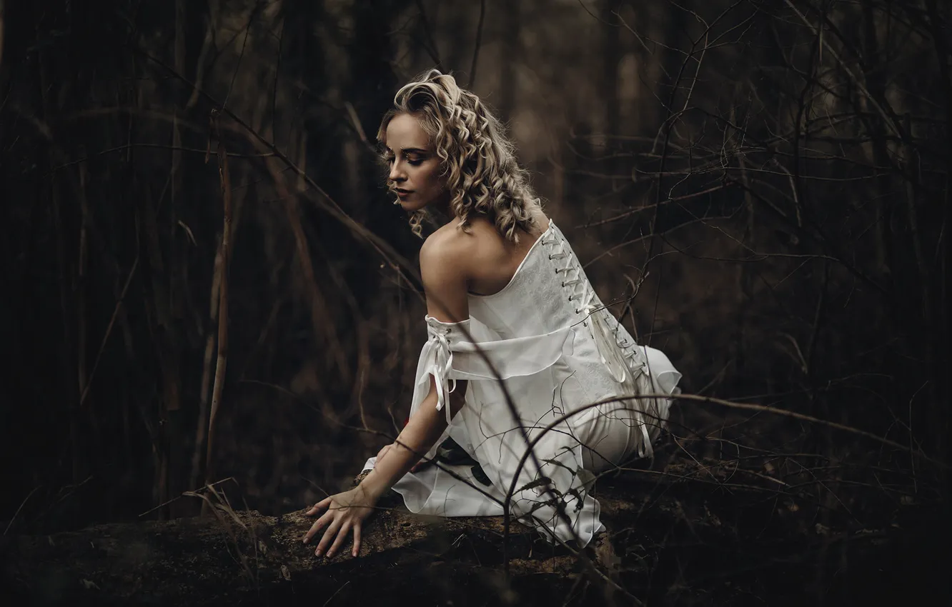 Photo wallpaper autumn, forest, girl, branches, nature, pose, style, the dark background