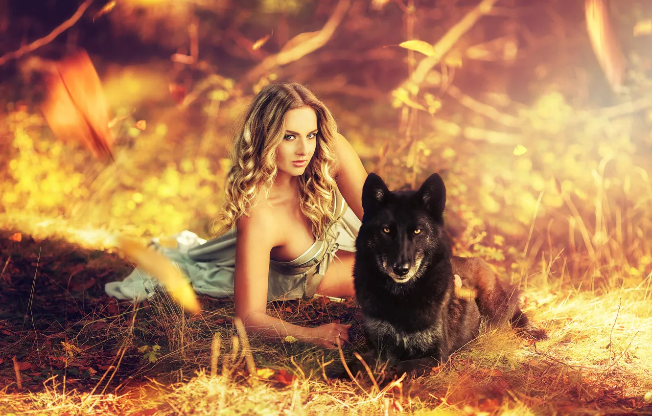 Photo wallpaper black, each, style, dog, look, face, glade, girl