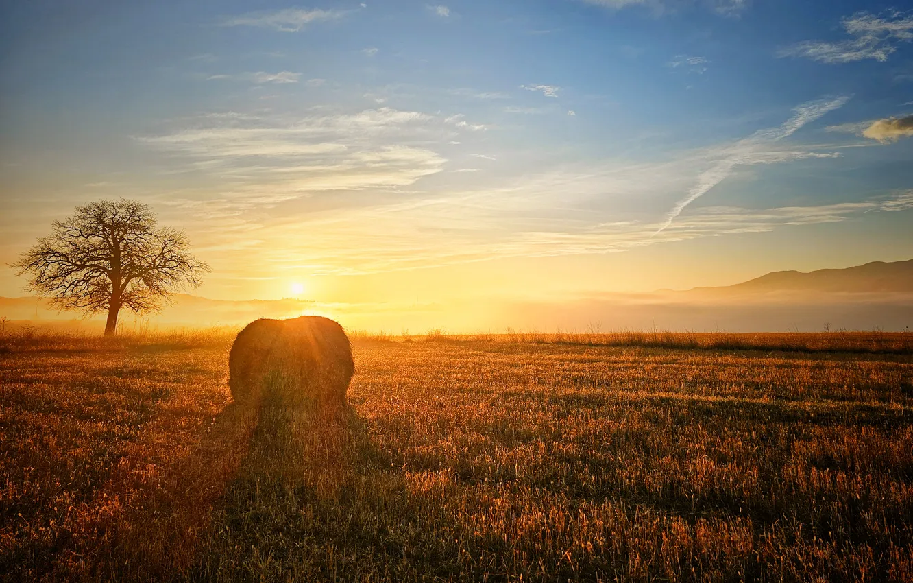 Photo wallpaper field, the sky, dawn, space, Gerchev Nikolay, a sheaf of hay