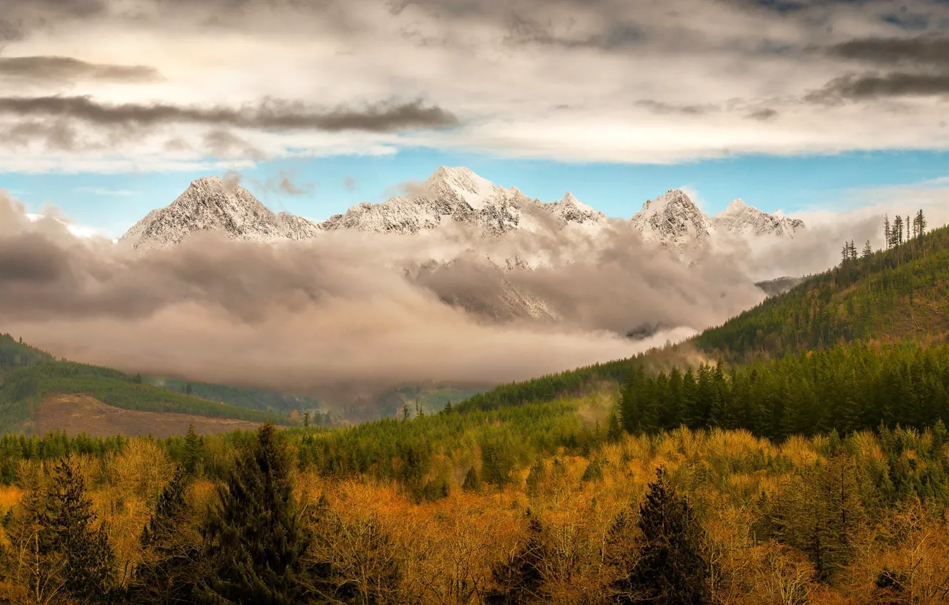 Photo wallpaper autumn, forest, clouds, mountains, fog, forest