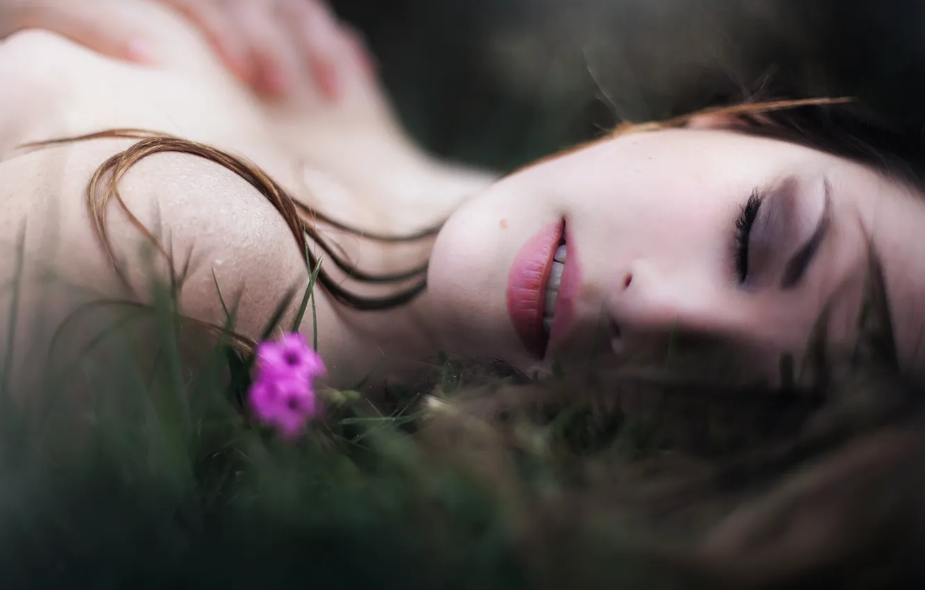 Photo wallpaper flowers, sponge, bokeh, Hell Model