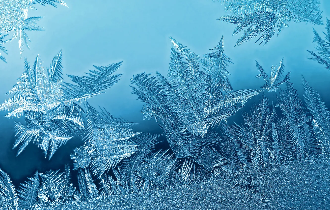 Photo wallpaper cold, ice, winter, frost, glass, snow, snowflakes, pattern
