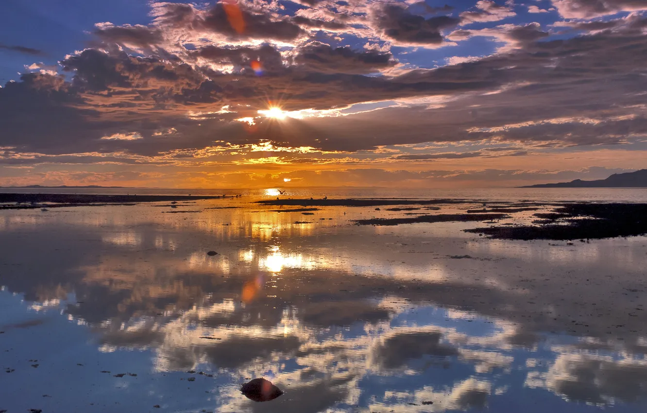 Photo wallpaper ocean, sunset, clouds, birds, reflections