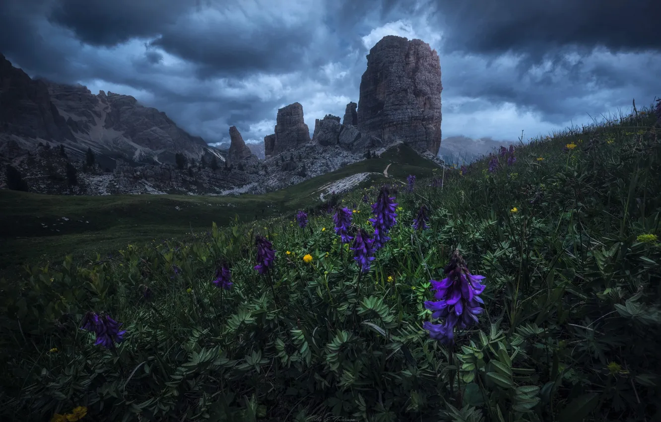 Photo wallpaper the sky, clouds, flowers, mountains, clouds, nature, rocks