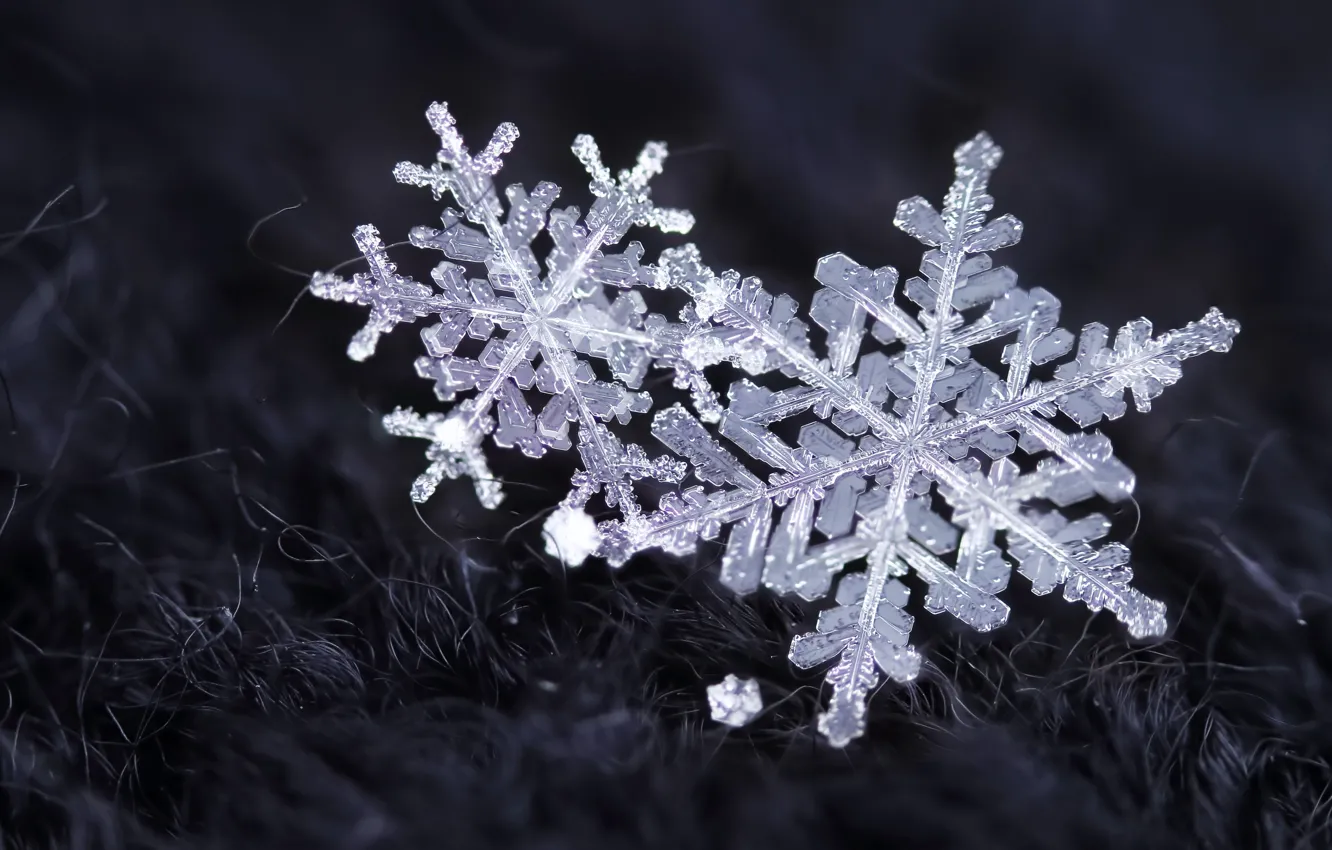 Photo wallpaper winter, snow, snowflakes, crystals