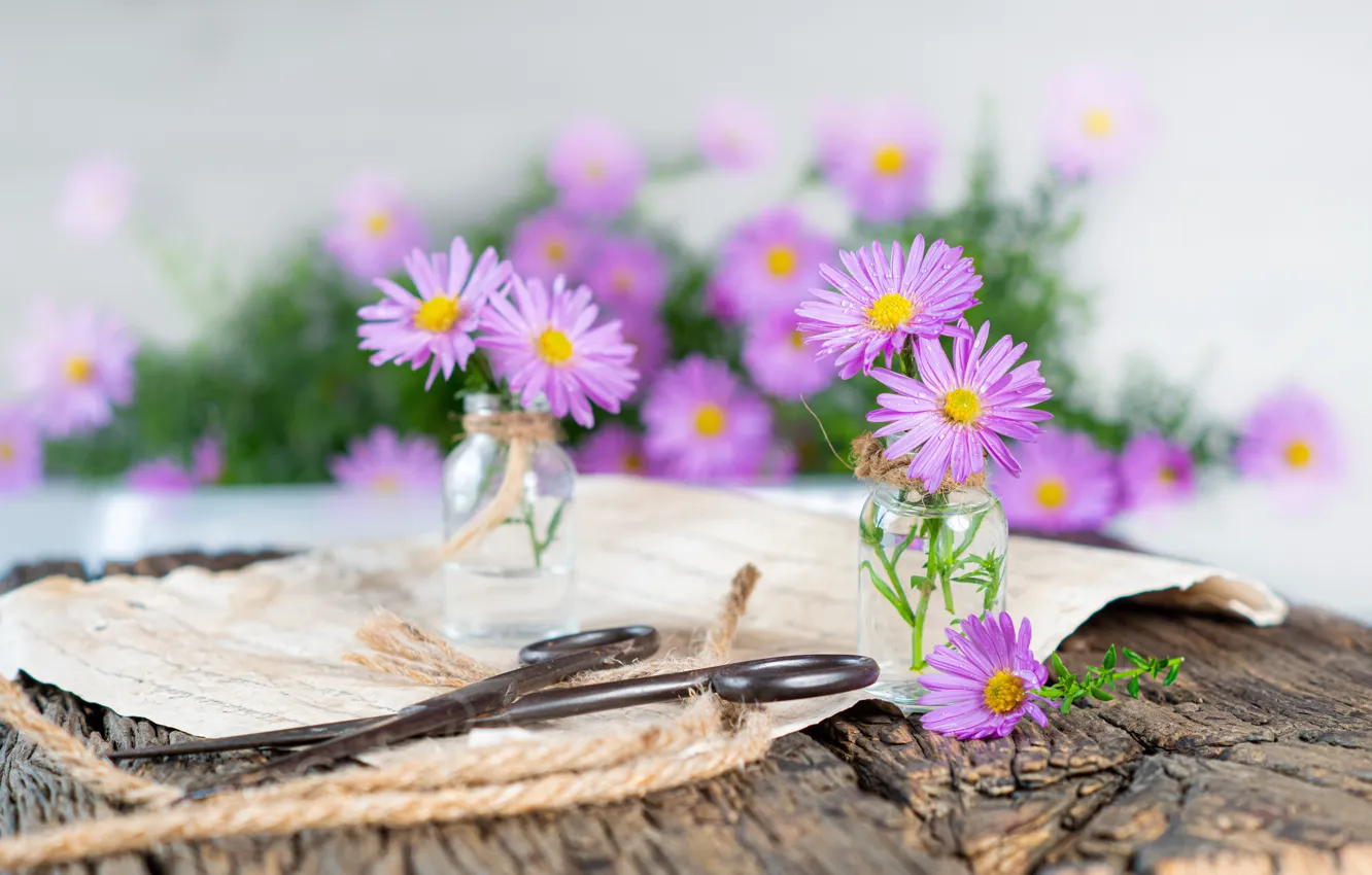 Photo wallpaper drops, flowers, Board, Bank, pink, a bunch, scissors, bokeh
