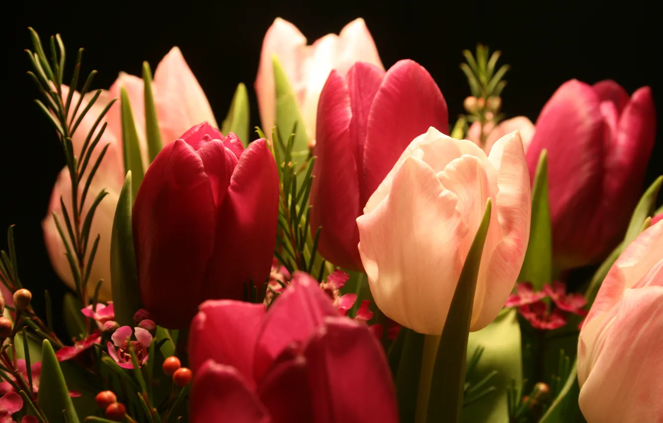 Photo wallpaper flowers, red, bouquet, spring, tulips, pink, black background