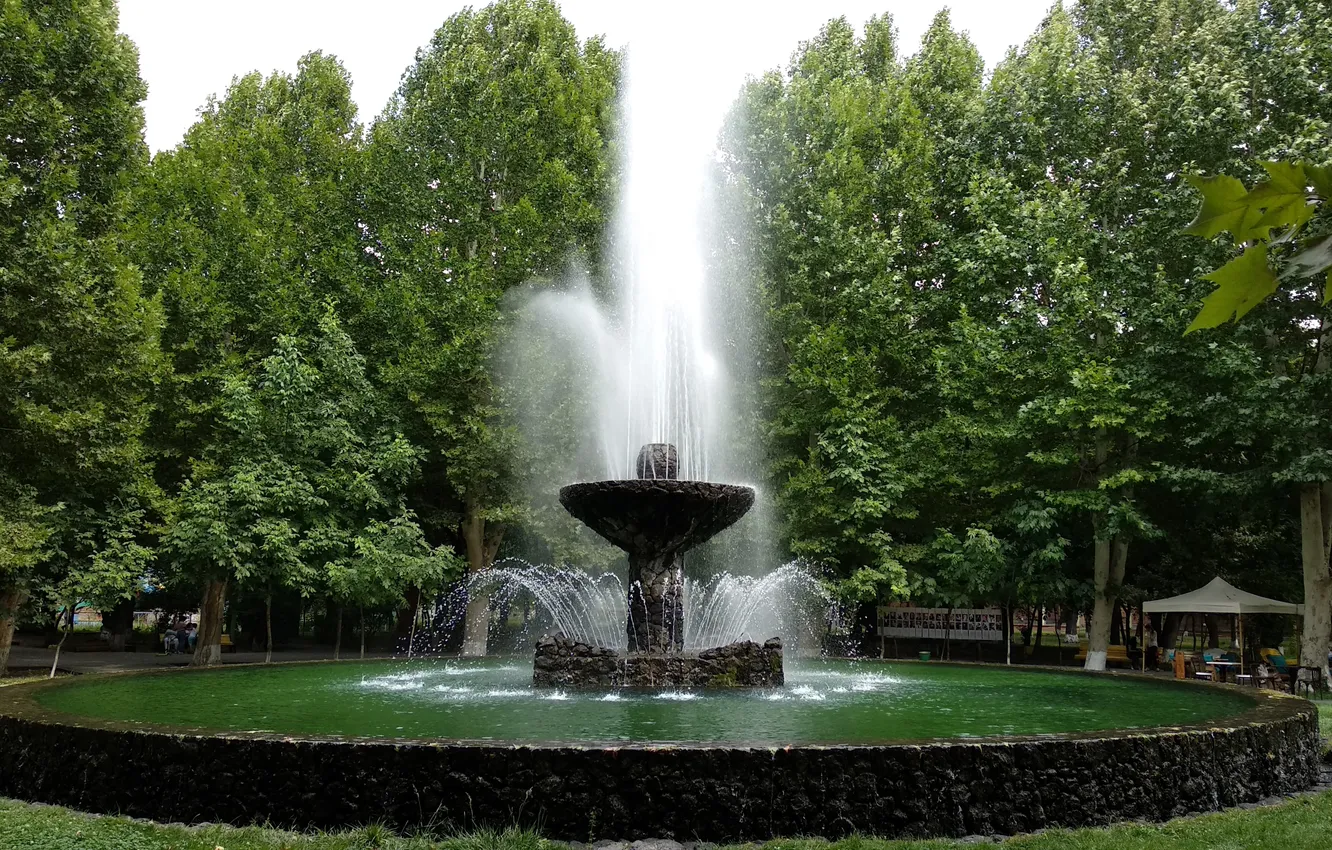 Photo wallpaper summer, water, trees, green, green, garden, summer, trees