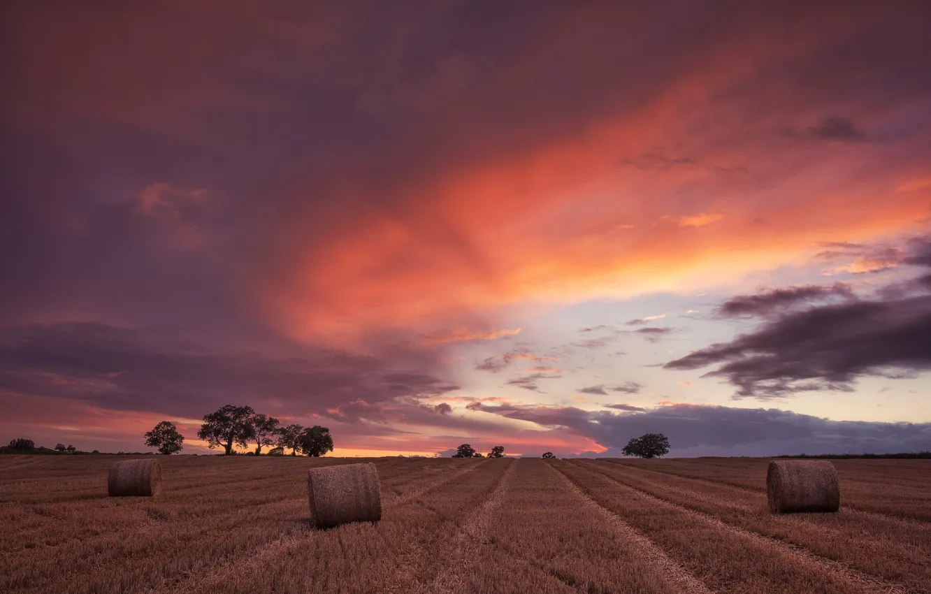 Photo wallpaper field, sunset, hay