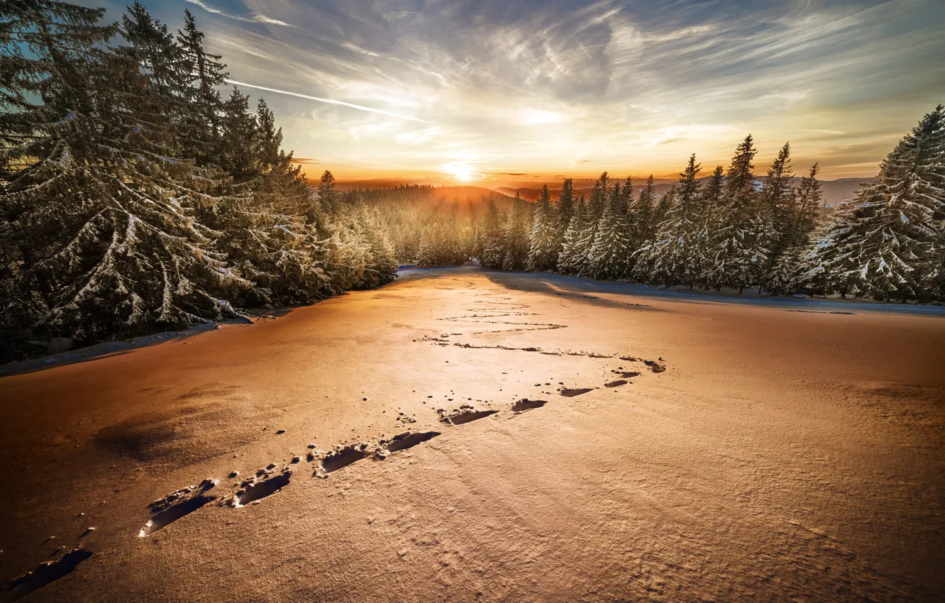 Photo wallpaper winter, field, forest, the sky, the sun, clouds, rays, light