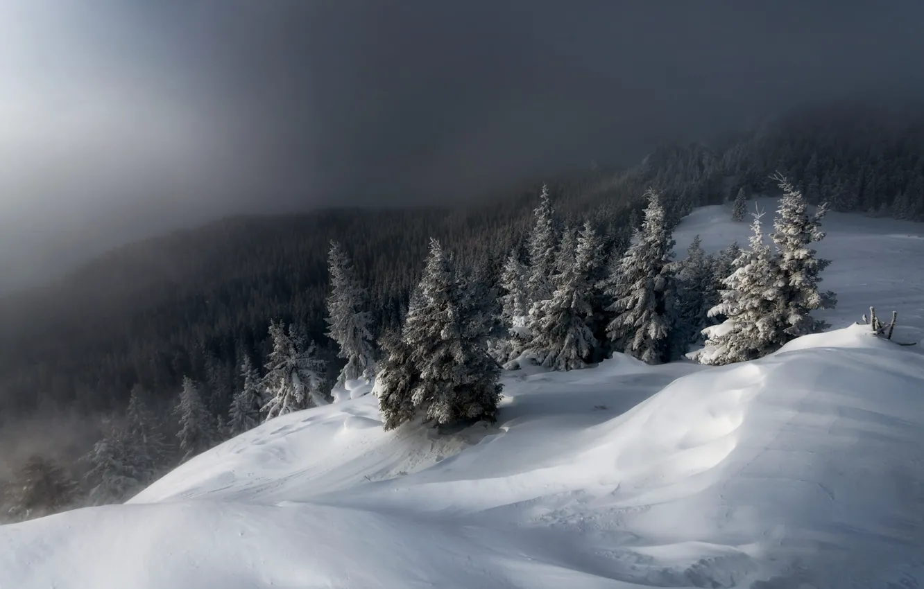 Photo wallpaper winter, forest, the sky, light, snow, mountains, fog, ate