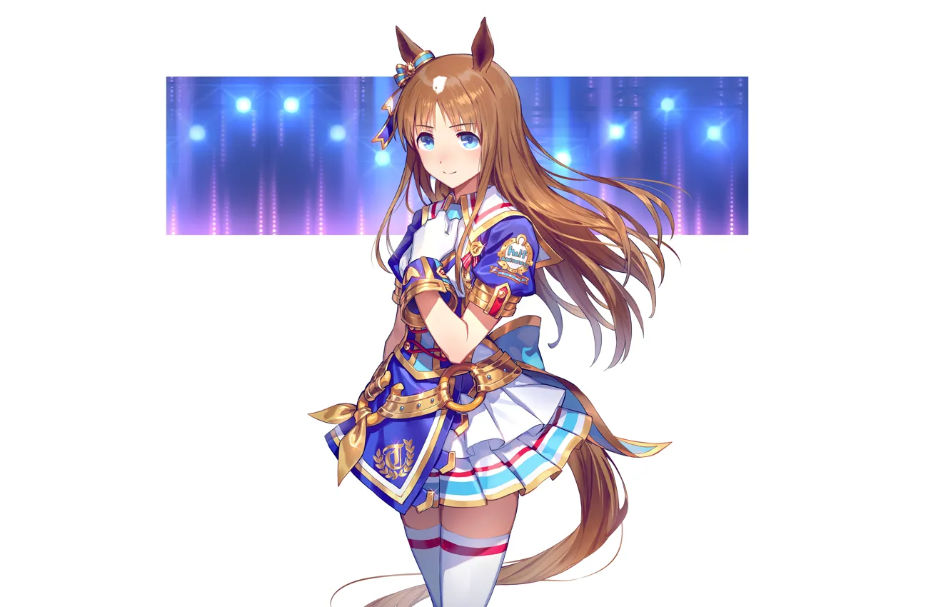 Photo wallpaper girl, sexy, thighhighs, long hair, brown hair, animal ears, anime, blue eyes