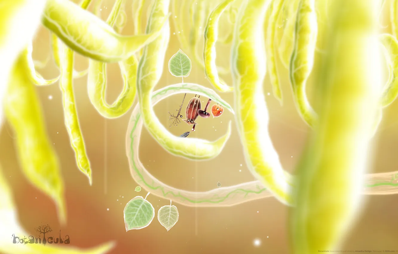 Photo wallpaper leaves, the game, characters, botanicula, pods, Mr. PopyHead, Mr. Lantern, Mrs. Mushroom