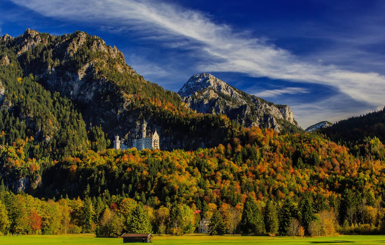 Photo wallpaper autumn, forest, mountains, Germany, Bayern, Germany, Bavaria, Neuschwanstein Castle