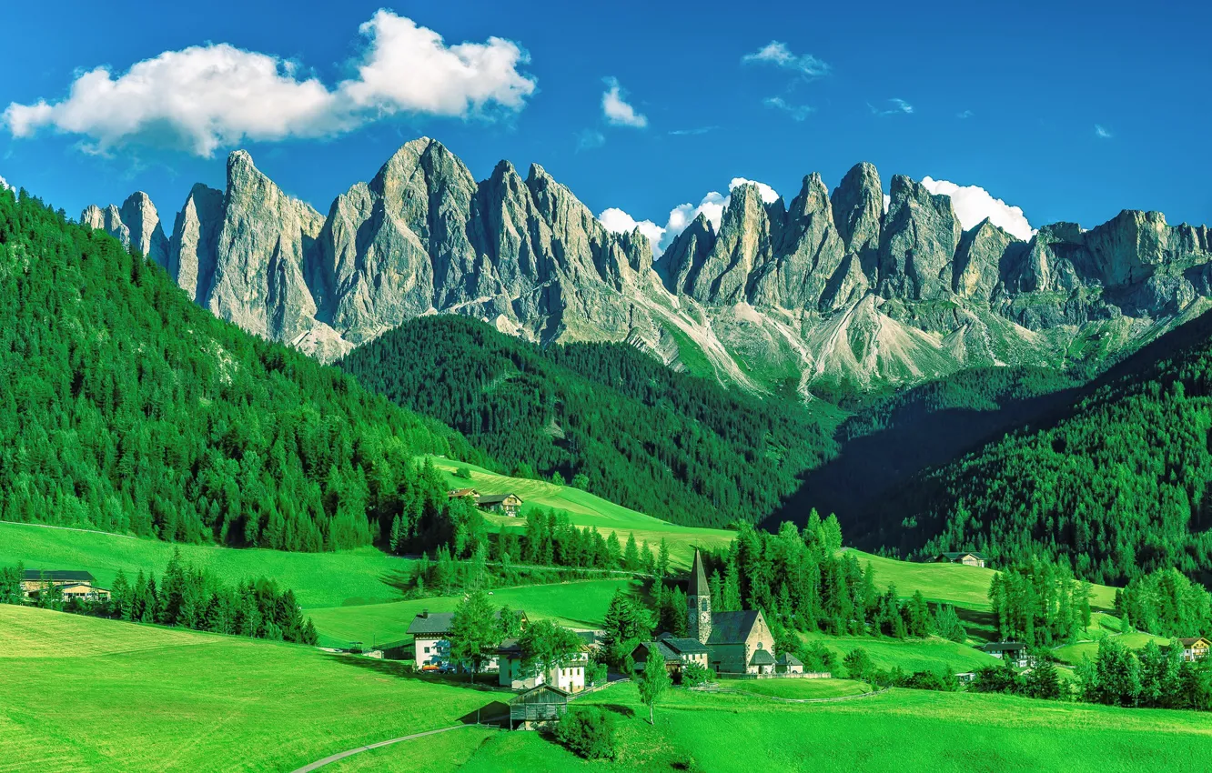 Photo wallpaper Mountains, Forest, The slopes, The village