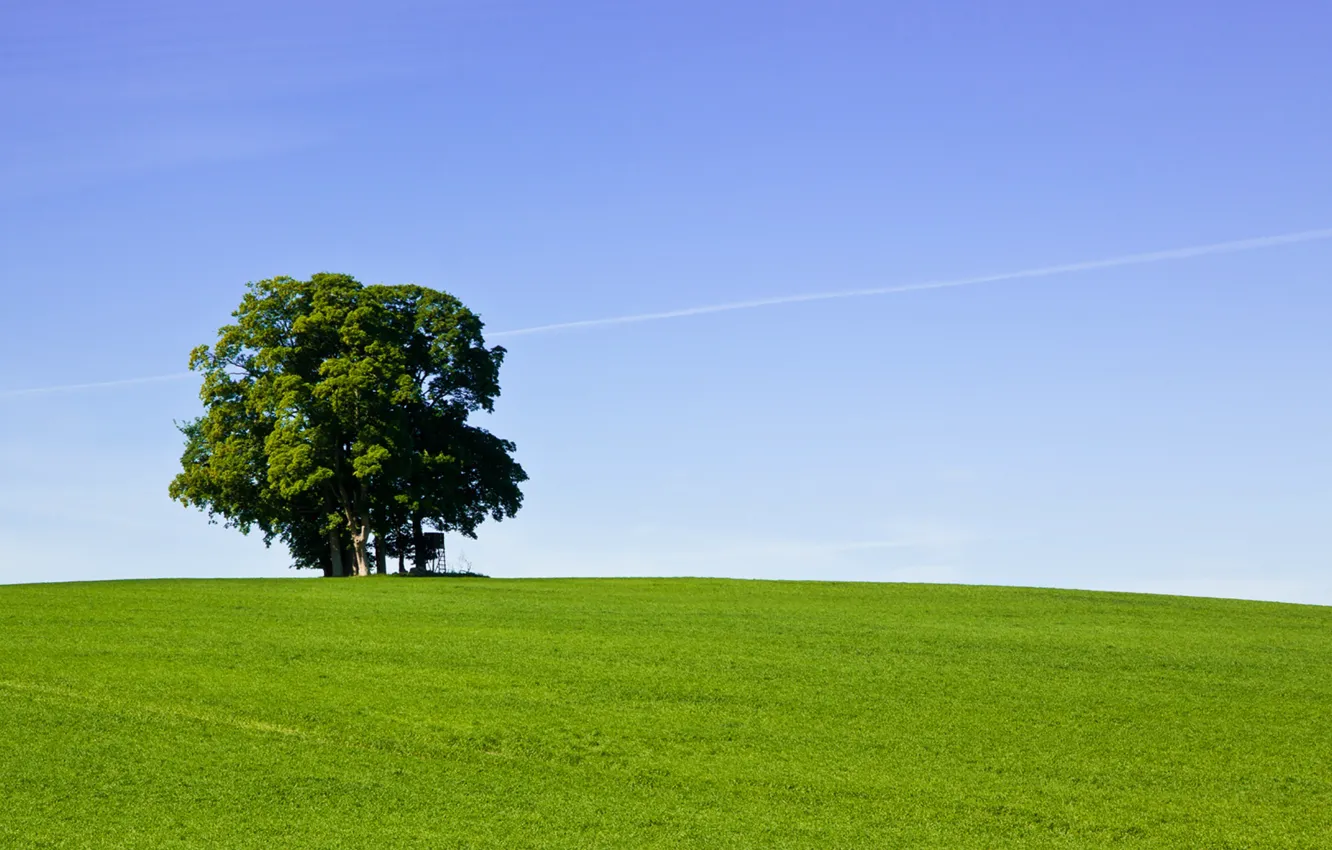Photo wallpaper green, grass, sky, field, tree, hill, countryside, farm