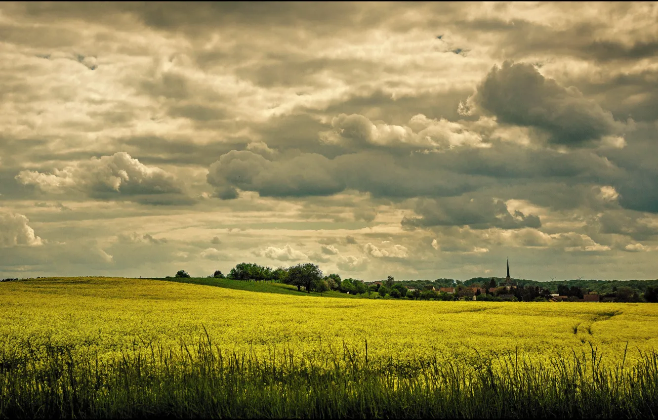 Photo wallpaper field, the sky, clouds, flowers, yellow, may, may, sky