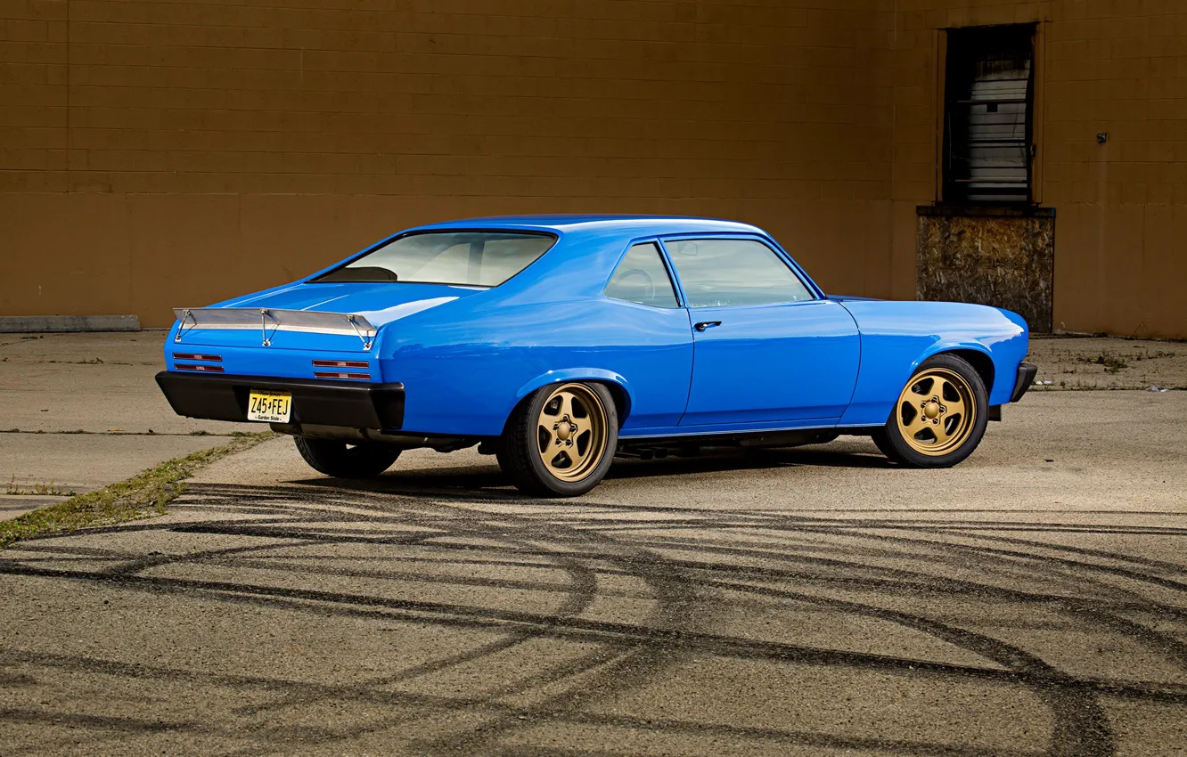 Photo wallpaper Blue, Coupe, Pontiac, Muscle car, Ventura