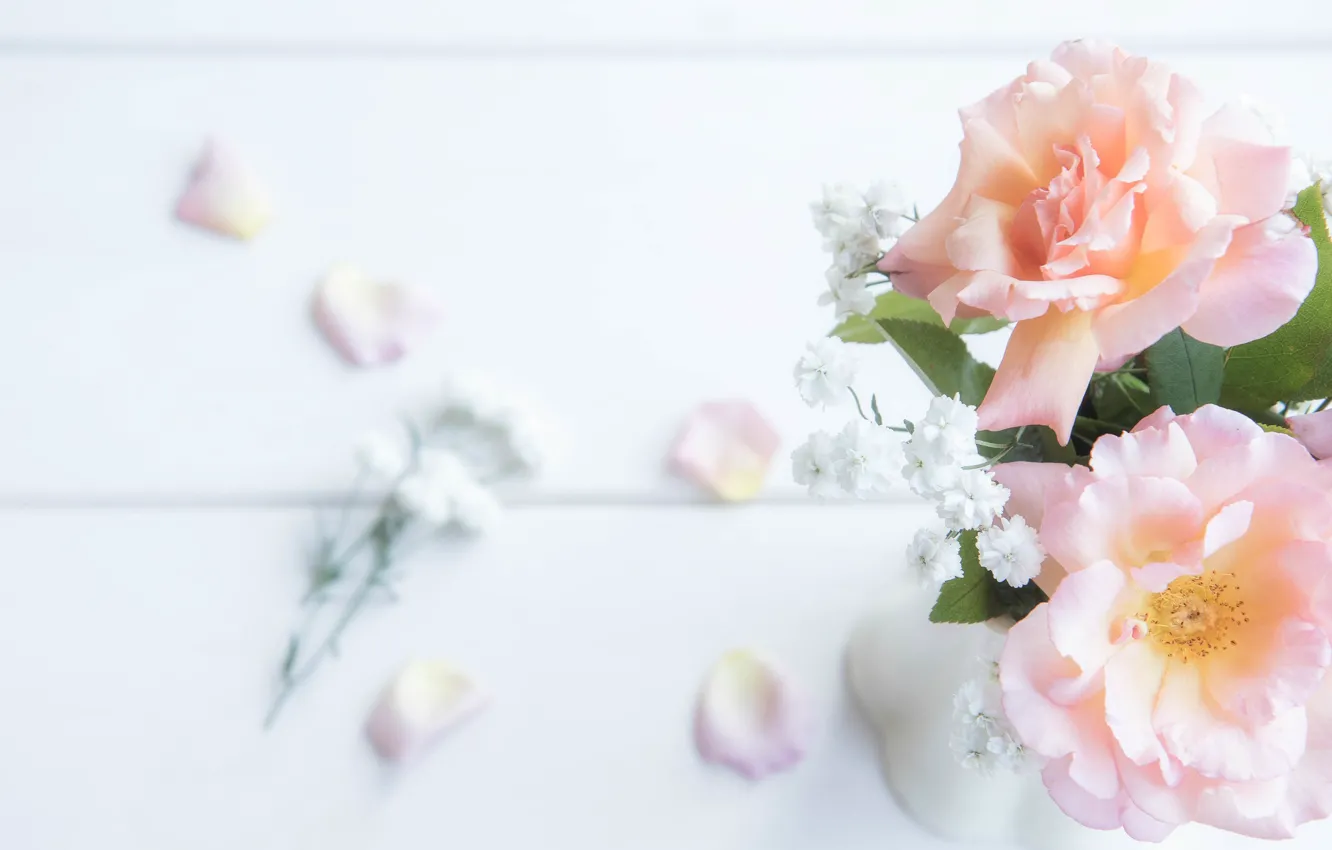 Photo wallpaper tenderness, roses, petals