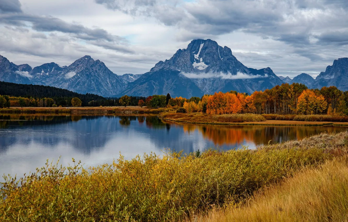 Photo wallpaper autumn, forest, mountains, reflection, river, Wyoming, Wyoming, the bushes