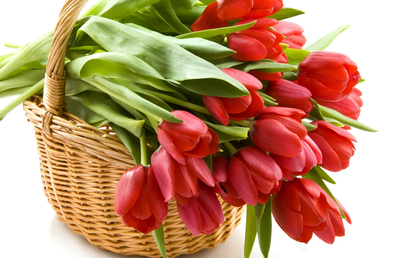 Photo wallpaper red, basket, tulips