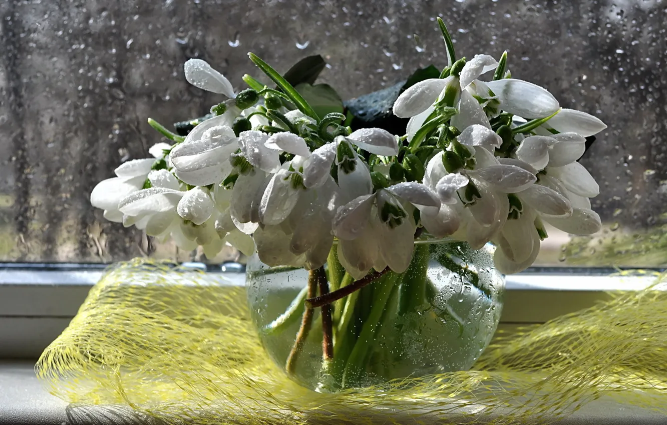 Photo wallpaper water, flowers, rain, bouquet, spring, snowdrops, still life, composition